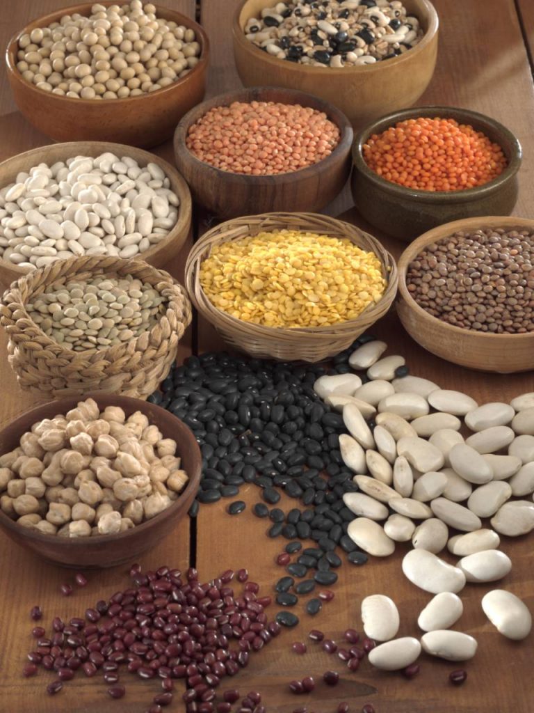 Premium Indian Pulses