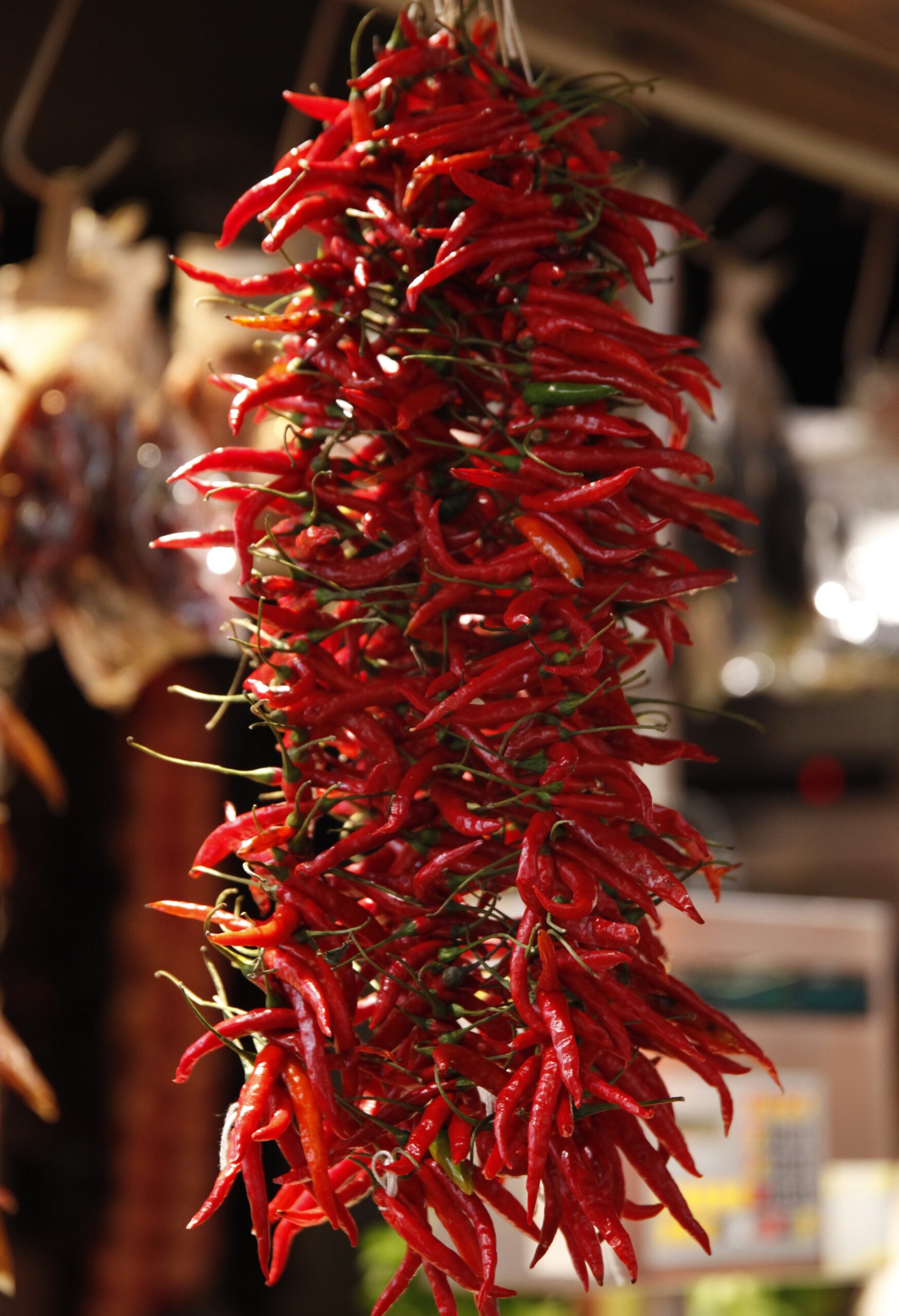 Indian Spices